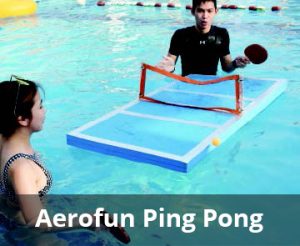Aerofun ping pong1